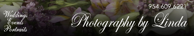 Photography by Linda - 954-609-6221